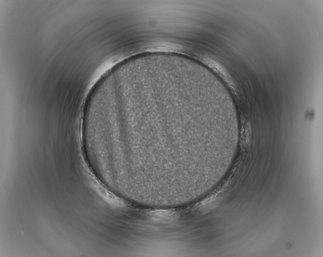 X0000089911130200707201750