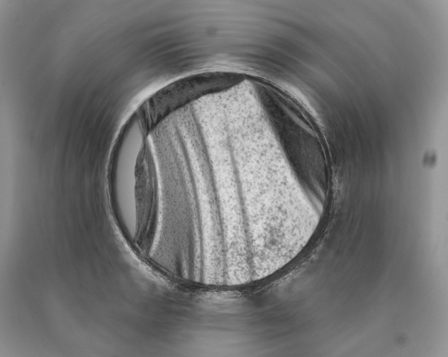 X0000089911133200707201750