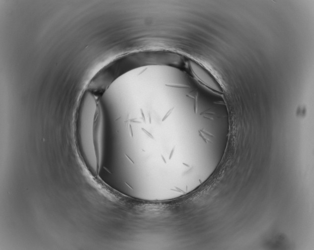 X0000089911134200707201750
