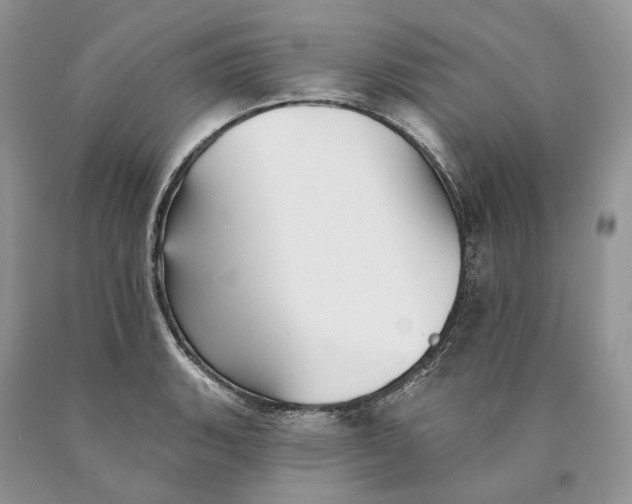 X0000089911135200707201750