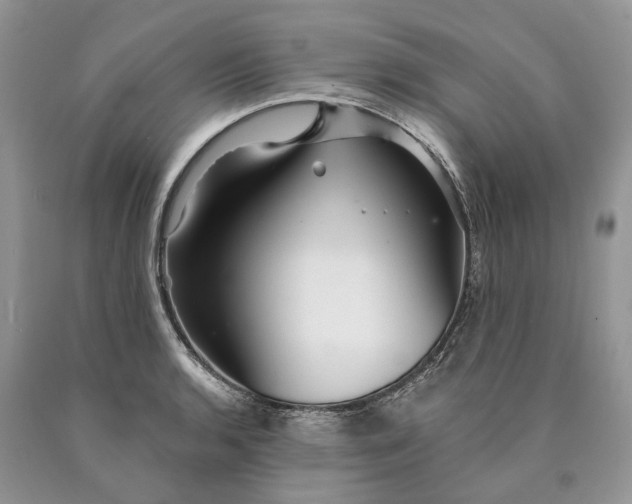 X0000089911136200707201750