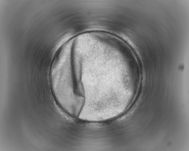 X0000089911137200707201750
