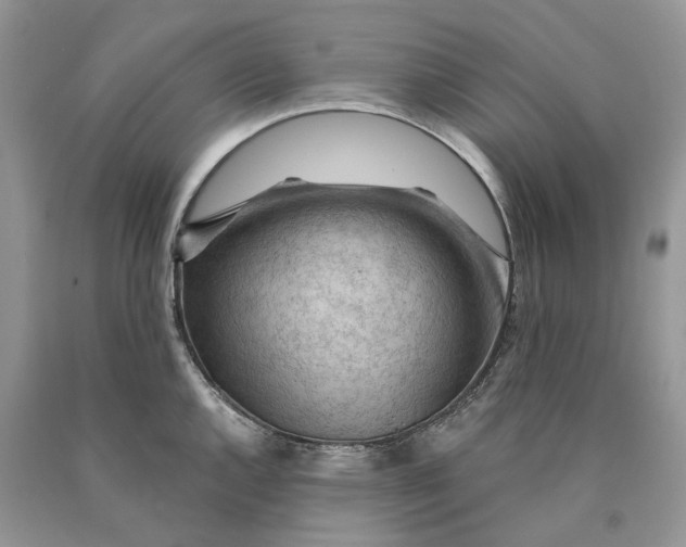X0000089911144200707201750