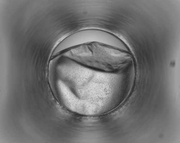 X0000089911145200707201750