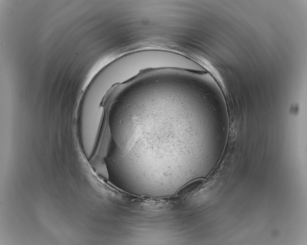 X0000089911146200707201750