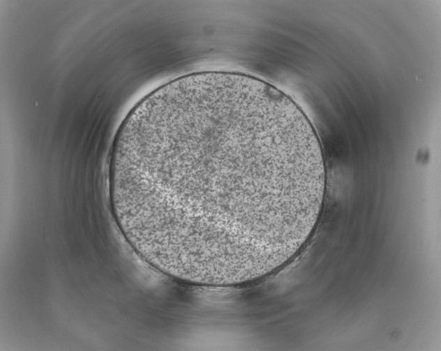 X0000089911150200707201750