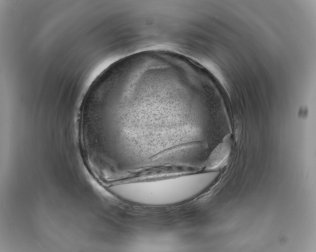 X0000089911151200707201751