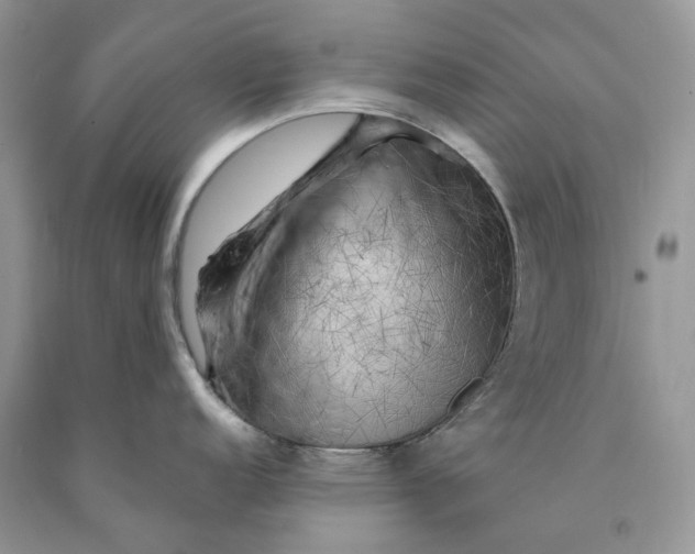 X0000089911152200707201751