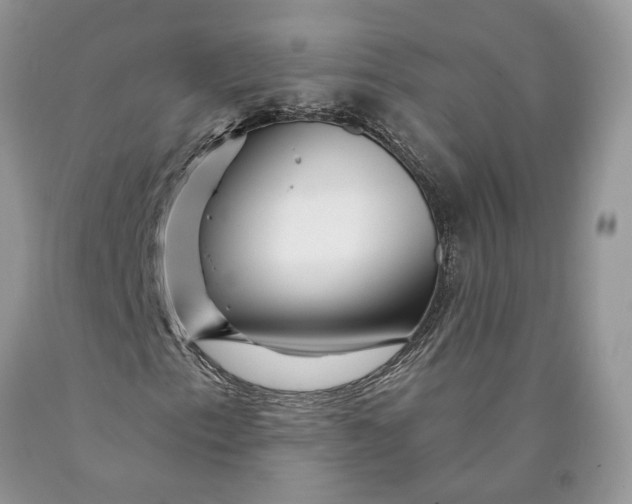 X0000089911153200707201750