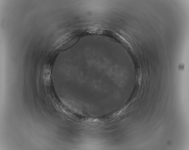 X0000089911154200707201750
