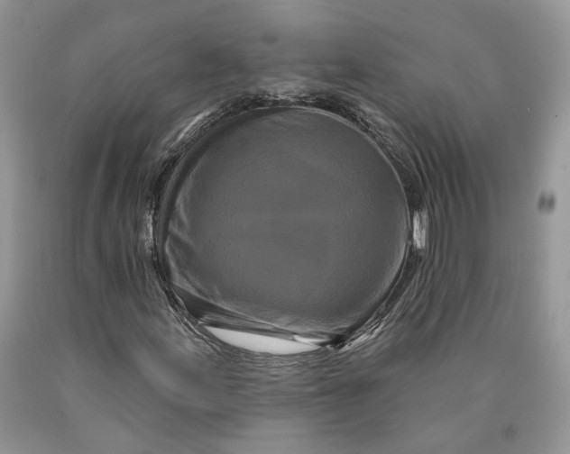 X0000089911155200707201750