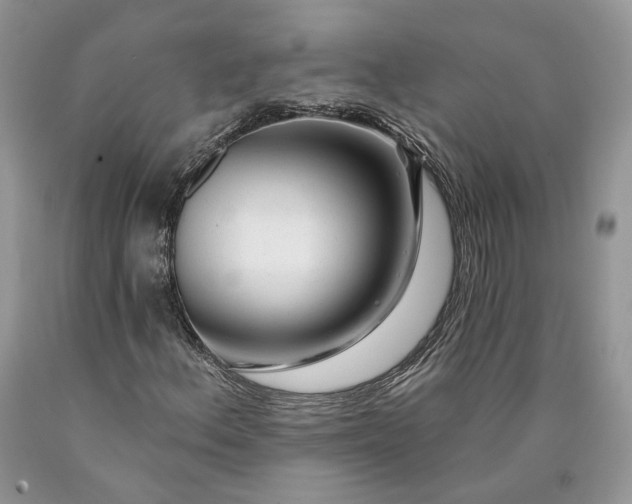 X0000089911156200707201750