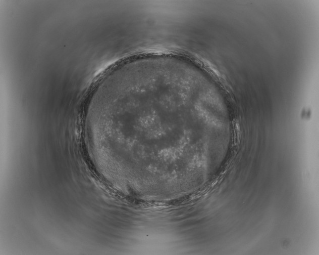 X0000089911158200707201750