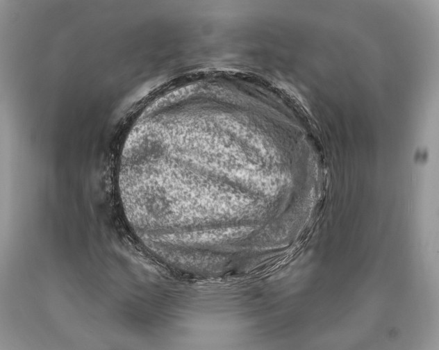 X0000089911159200707201750