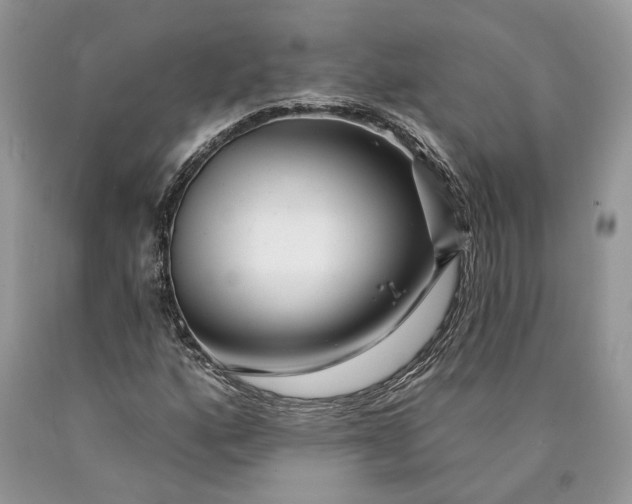 X0000089911160200707201750