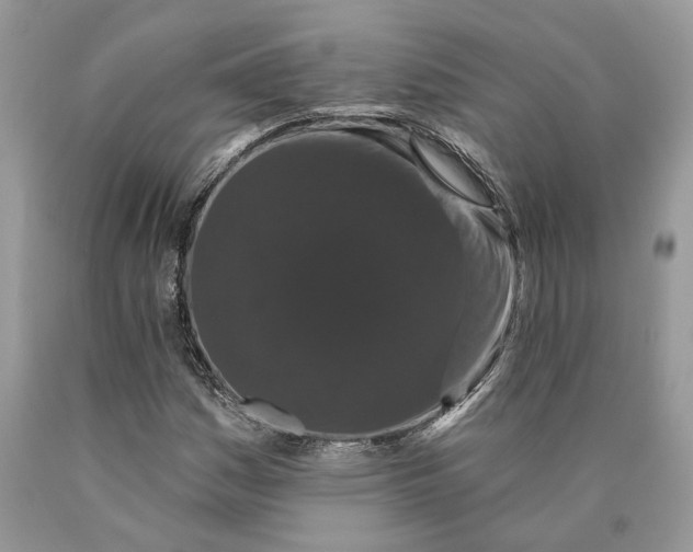 X0000089911161200707201750