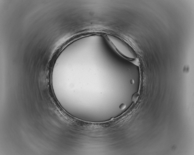 X0000089911164200707201750