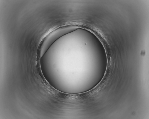 X0000089911165200707201750