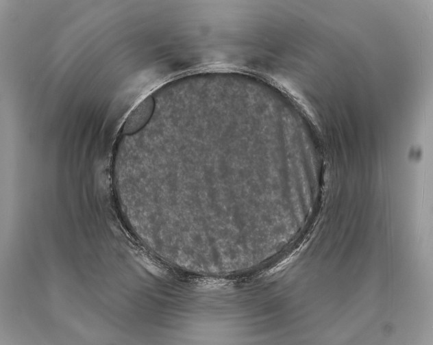 X0000089911170200707201750