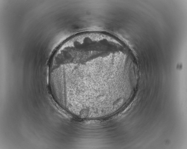 X0000089911171200707201750
