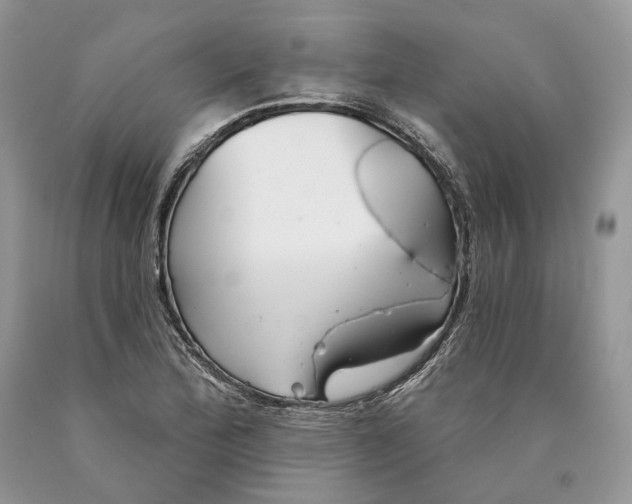 X0000089911172200707201750