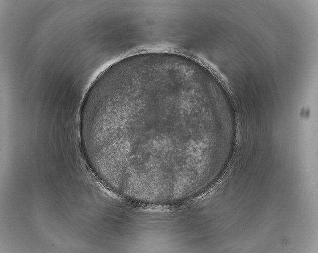 X0000089911174200707201750