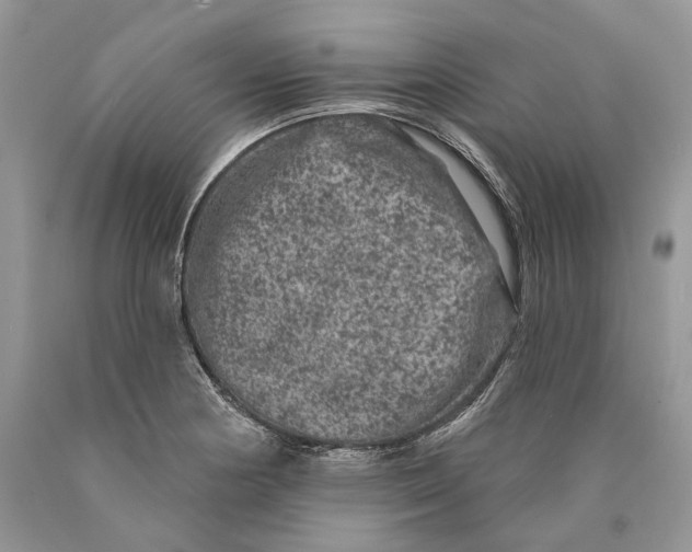 X0000089911178200707201749