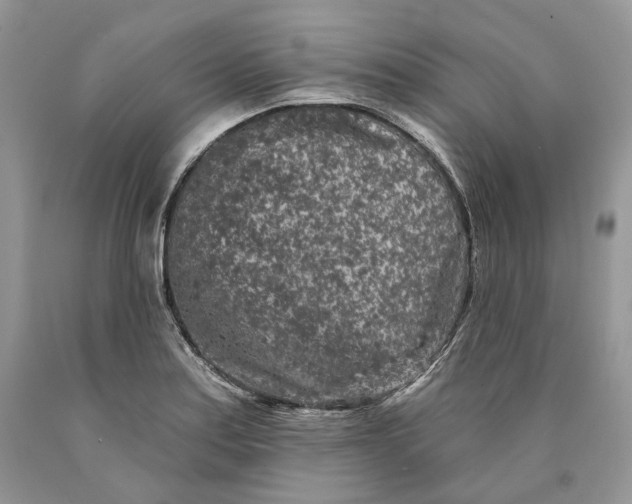 X0000089911179200707201749