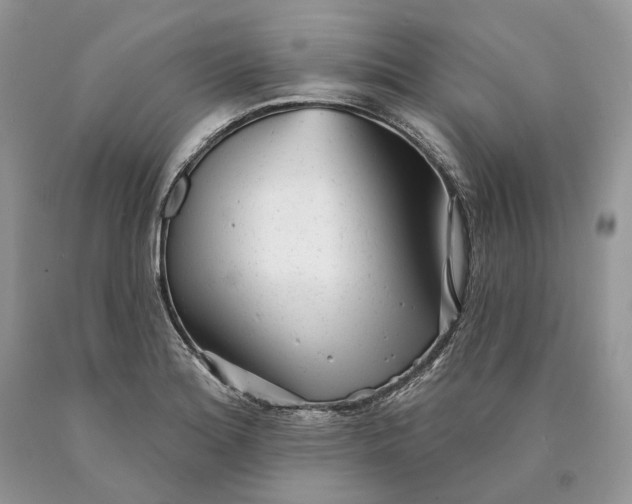 X0000089911180200707201749