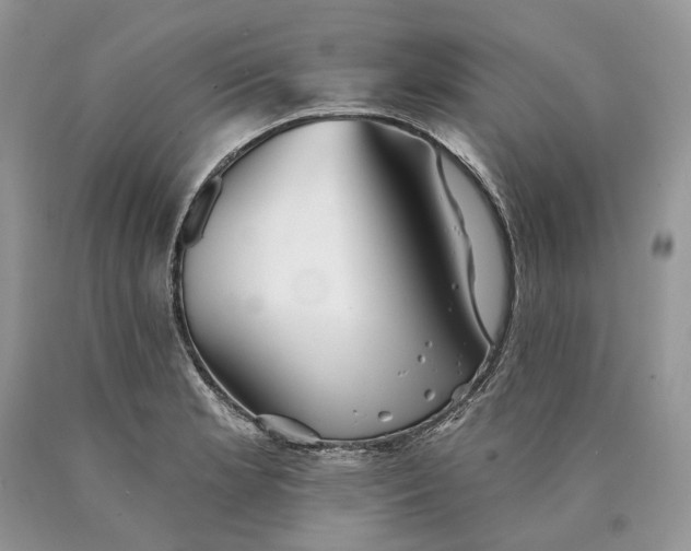 X0000089911181200707201749