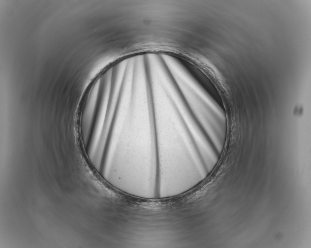 X0000089911182200707201749