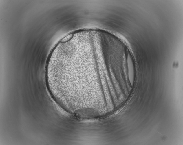 X0000089911183200707201749