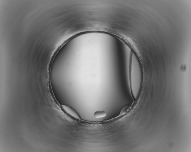 X0000089911184200707201749