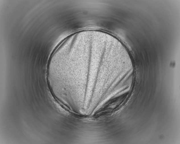 X0000089911186200707201749