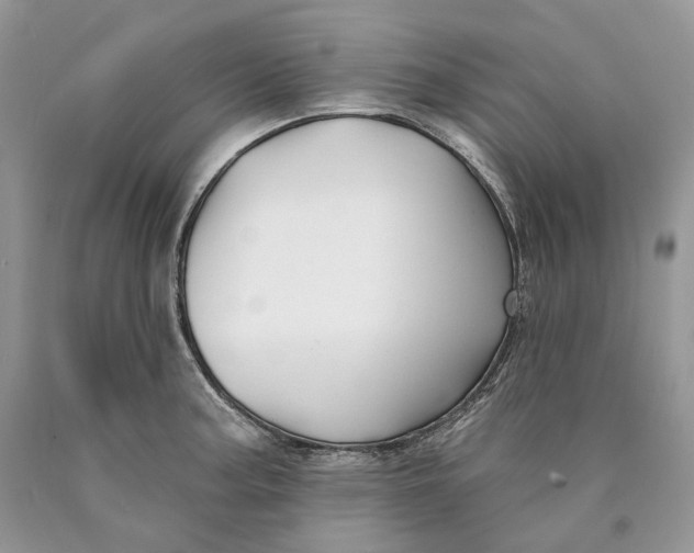 X0000089911187200707201749