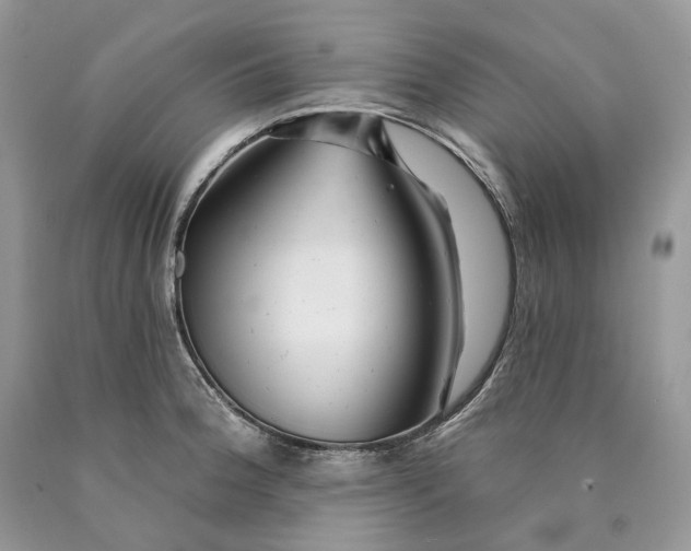 X0000089911188200707201749