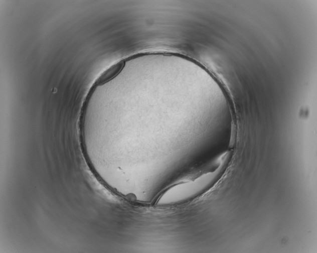 X0000089911189200707201749