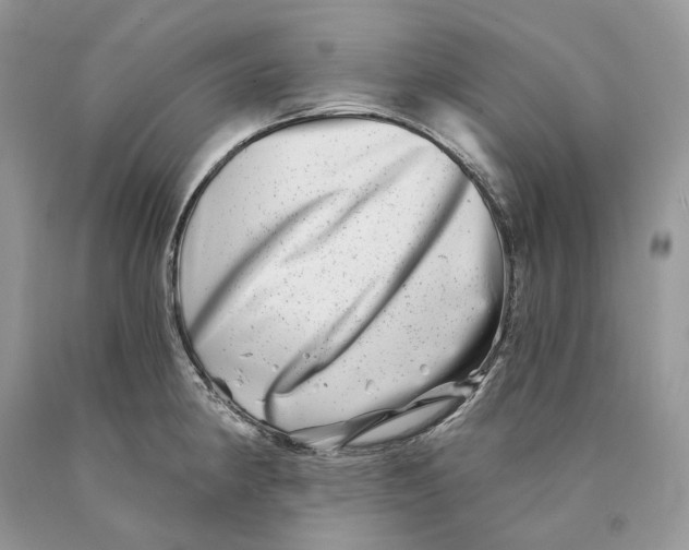 X0000089911190200707201749