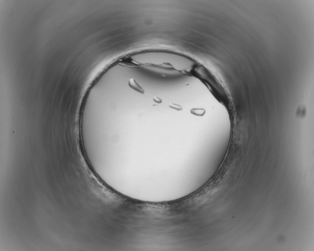 X0000089911191200707201749