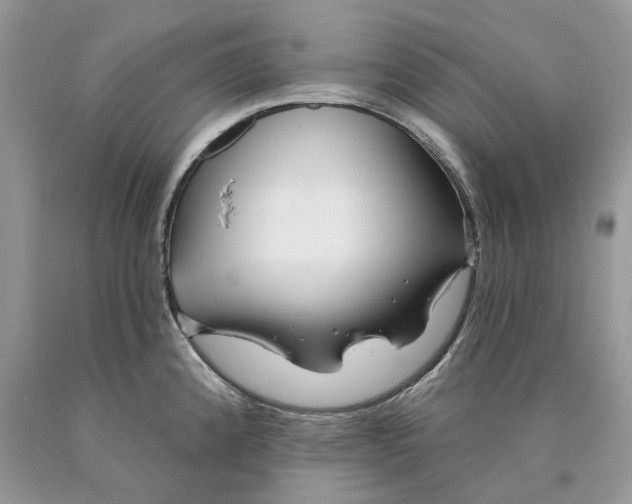 X0000089911192200707201749