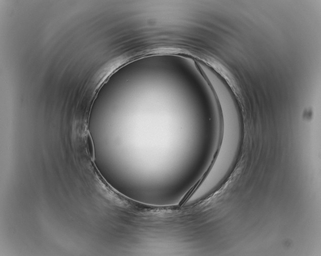 X0000089911193200707201749