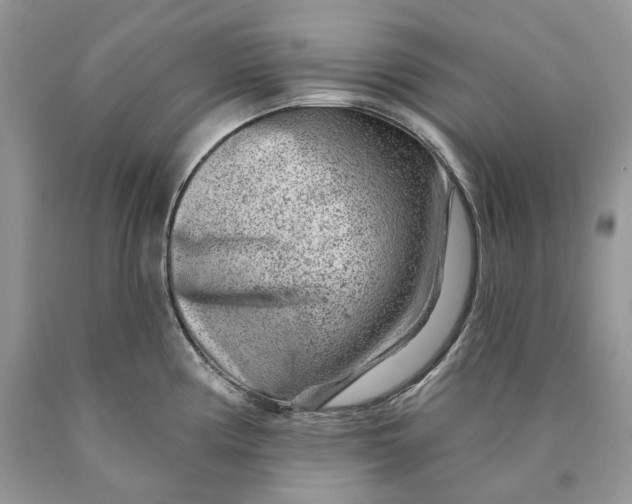 X0000089911194200707201749