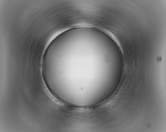 X0000089911195200707201749