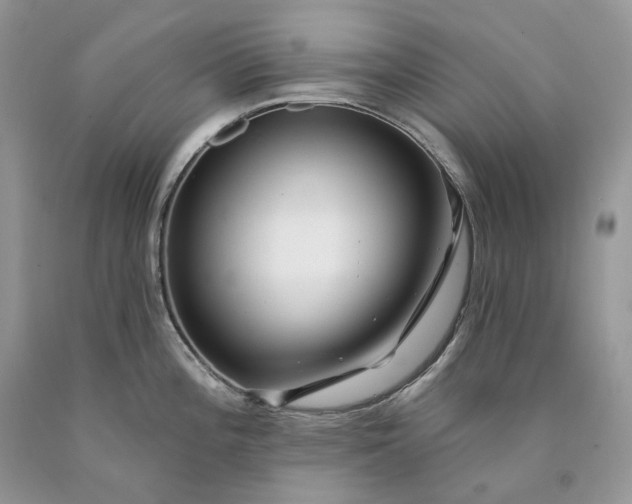 X0000089911196200707201749
