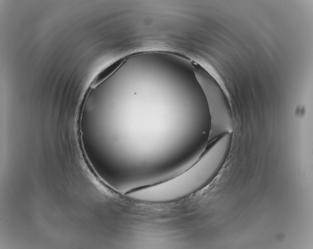 X0000089911197200707201749