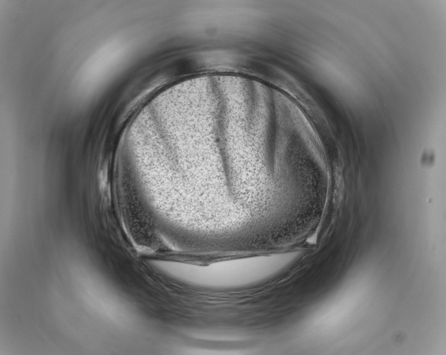 X0000089911198200707201749