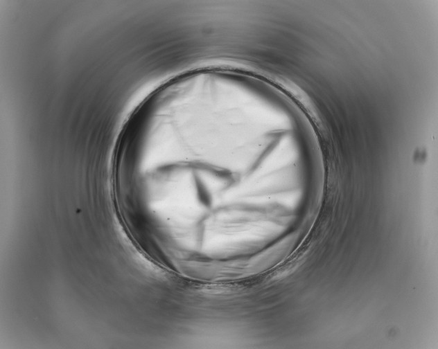 X0000089911199200707201749