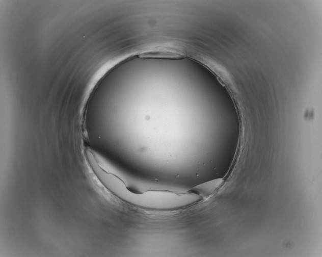 X0000089911200200707201749