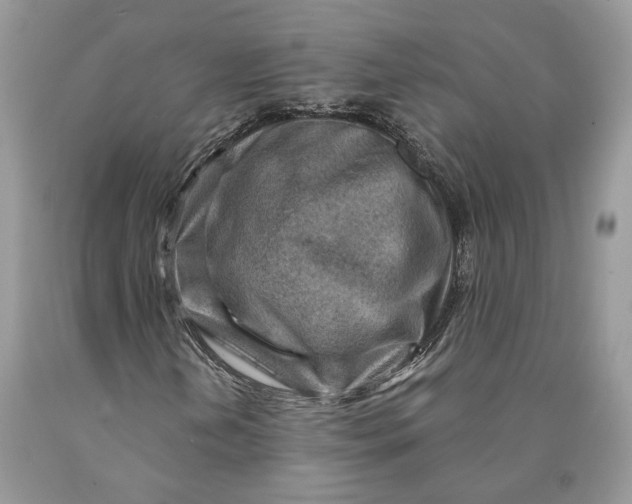 X0000089911202200707201748