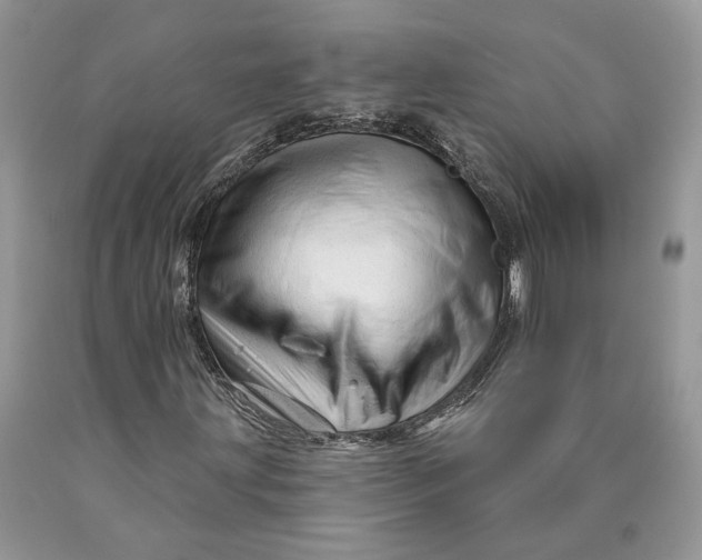X0000089911203200707201748